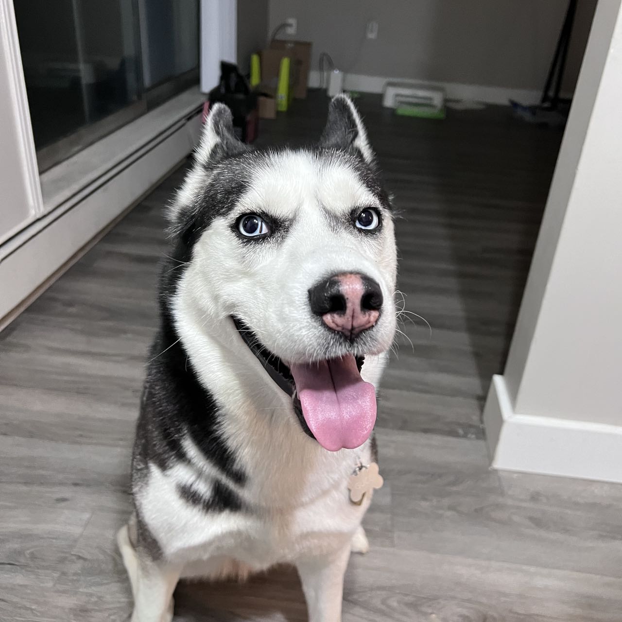 BA9B5593-35C6-46A1-B450-6B7F75B11E80