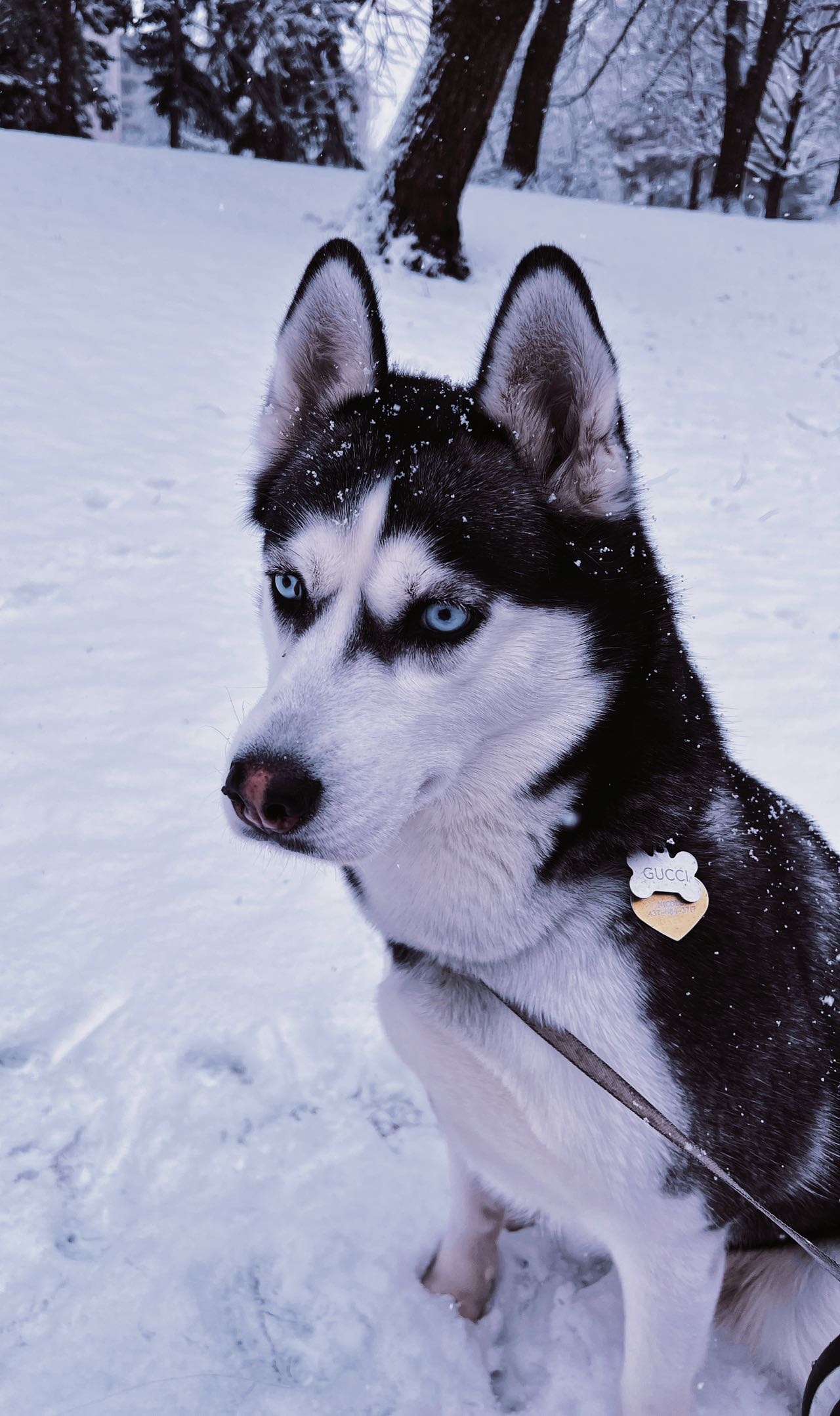 D272B042-73DC-4F46-9413-B737244EC75E