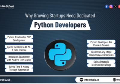 Why-Growing-Startups-Need-Dedicated-Python-Developers-Boost-Startup-Growth-2
