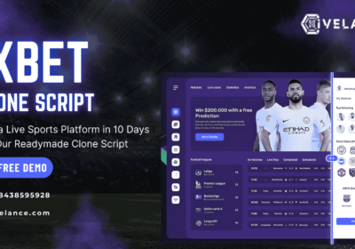 Pinksale-clone-script-29-2