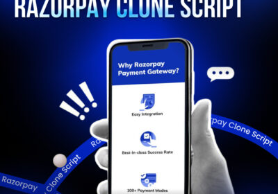 Razorpay-clone-script