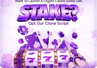 Thinking-beyond-traditional-casinos-🎰💡With-Stake-Clone-Script-Dappsfirm-helps-entrepreneurs-s