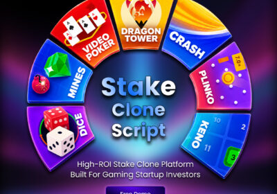 High-ROI-Stake-Clone-Platform-Built-for-Gaming-Startup-Investors-1