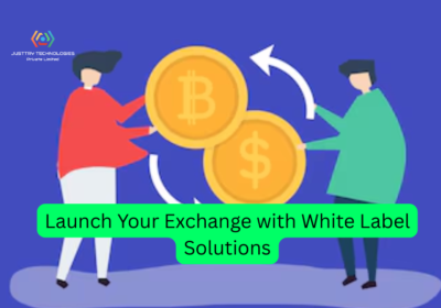 Start-a-Crypto-Business-Faster-with-White-Label-Exchange-Development-1