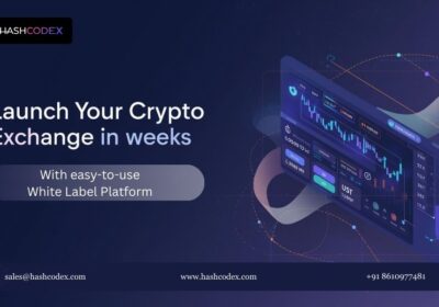 White-Label-crypto-Exchange-Dev