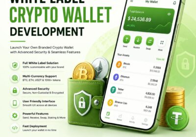 Crypto-Wallet-Development-CoinsQueens