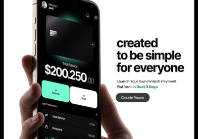 Launch-Your-Own-Fintech-Payment-Platform-in-Just-3-Days1