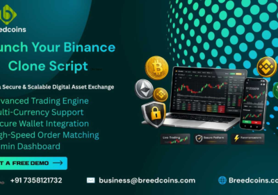 LaunchYourBinanceCloneScrip