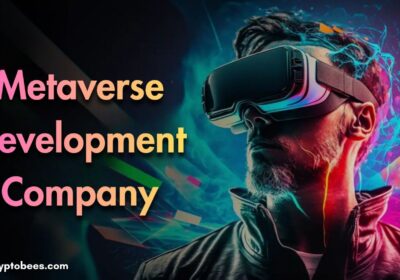 MetaverseDevelopmentCompany