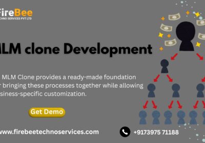 MLM-clone-Development