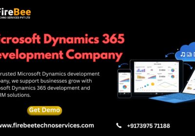 Microsoft-Dynamics-365-Development-Company